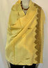 Hand Embroidered Aari Border with Small Motif